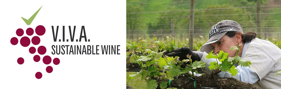 viva-sustainable-wine